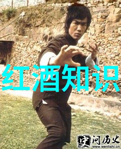 法国两大红酒产区普罗旺斯的醉人风情