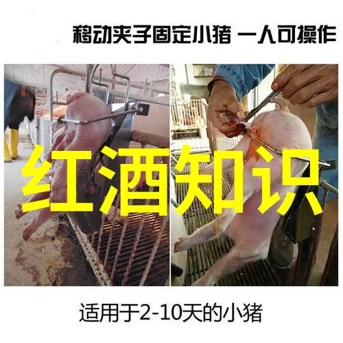 法国最突出的文化特色你一定要知道的巴黎那些不为人知的小巷