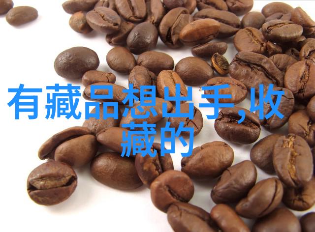 穿越历史的天空回望与展望之间的辉煌篇章