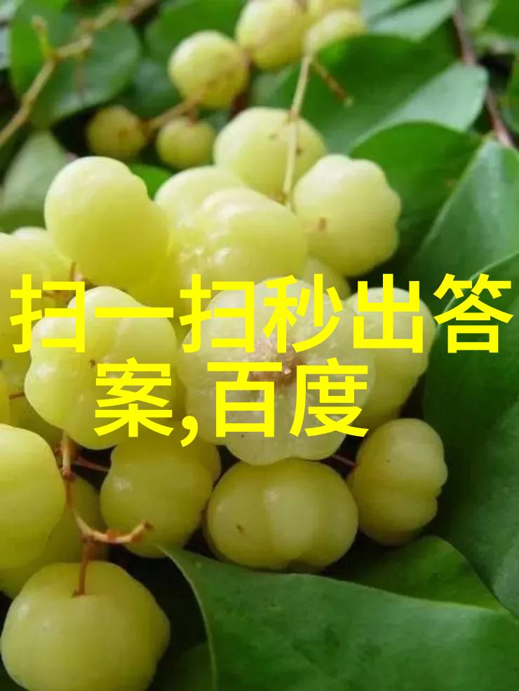 花卉百科-探秘玫瑰花名称大全香甜与美丽的多样性