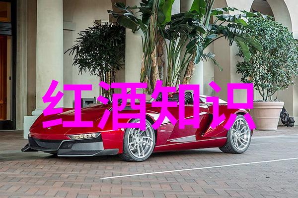 帕格里克酒庄九游心动庄园2的新篇章醉人心扰如同一壶上好的美酒
