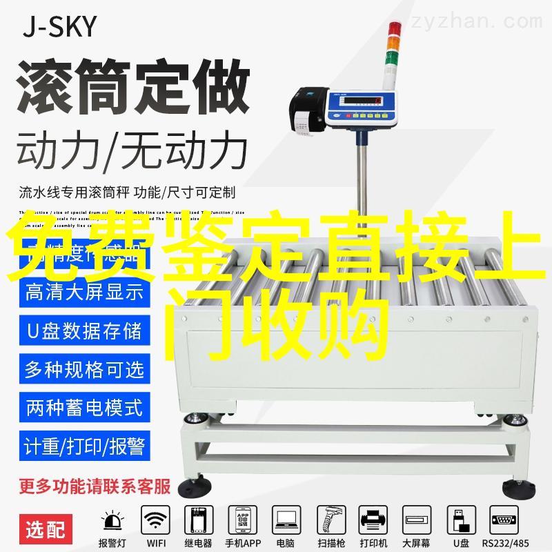 家人不在亲情与冒险的故事