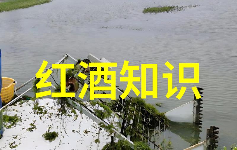小女孩绘画创意插画中的可爱少女形象