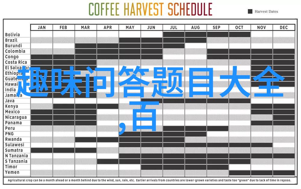 南方向阳的温暖猫咪图片大全大图