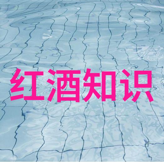 猫品种图片大全集看看我为你准备的这些超级棒的猫咪图片吧