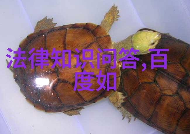 成都二日游笑傲锦里悠然武侯