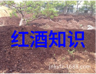 女孩的笑容一幅卡通世界的温馨画卷