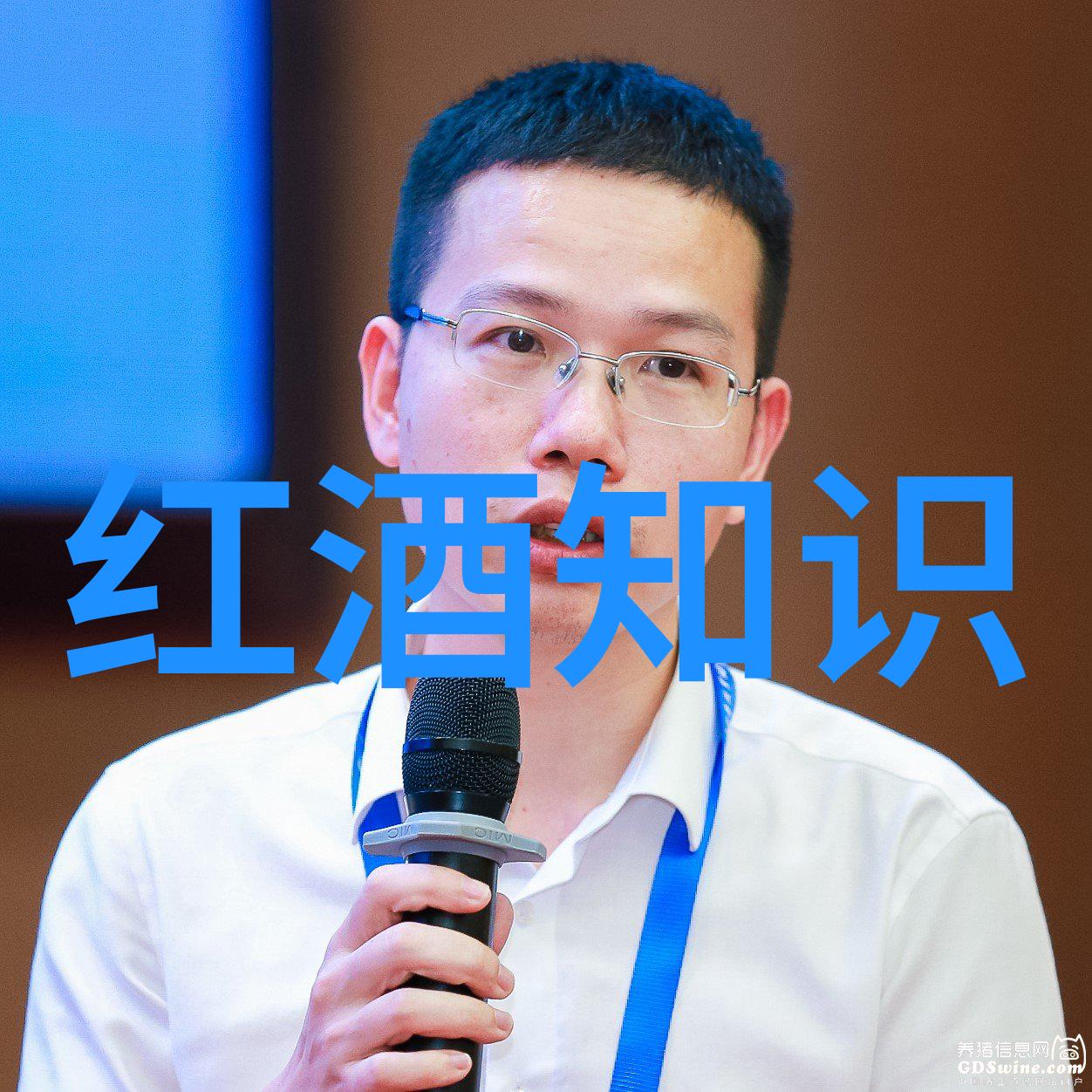 族群迁移与融合分析中世纪欧洲庄园中的多元人口特征