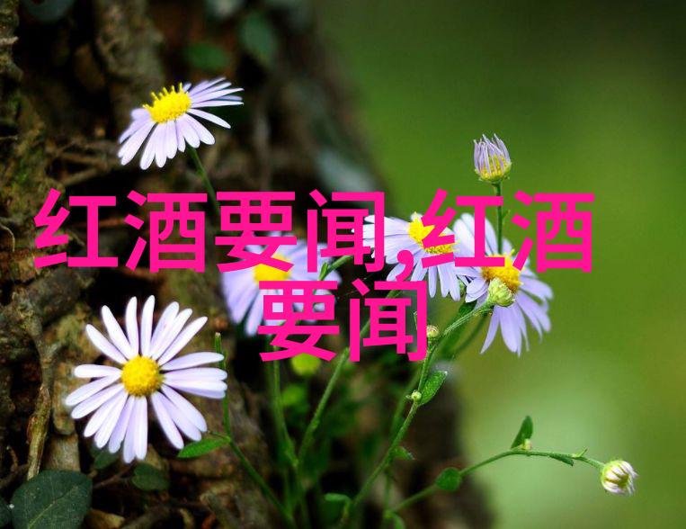 画出秘密一笔绘就心灵深处的影子