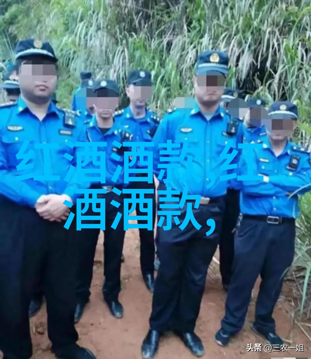 回顾市场波动历史价格走势分析与投资策略探究
