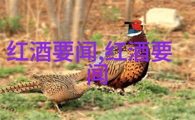 幸福庄园游戏塞西尔183特仑布的醇香之旅