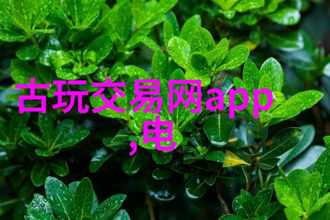 文化交流新篇章中国女孩在海湖庄园的小确幸