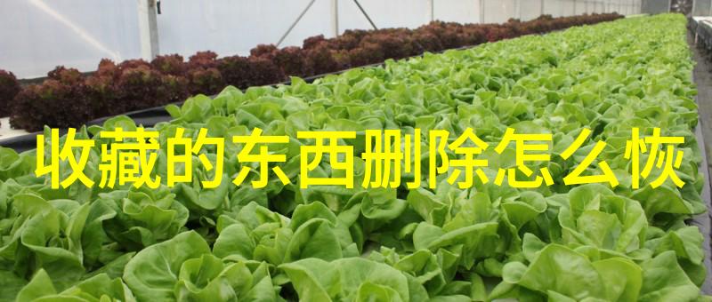 北京周边好玩的景点大全揭秘真假奔富8大秘诀