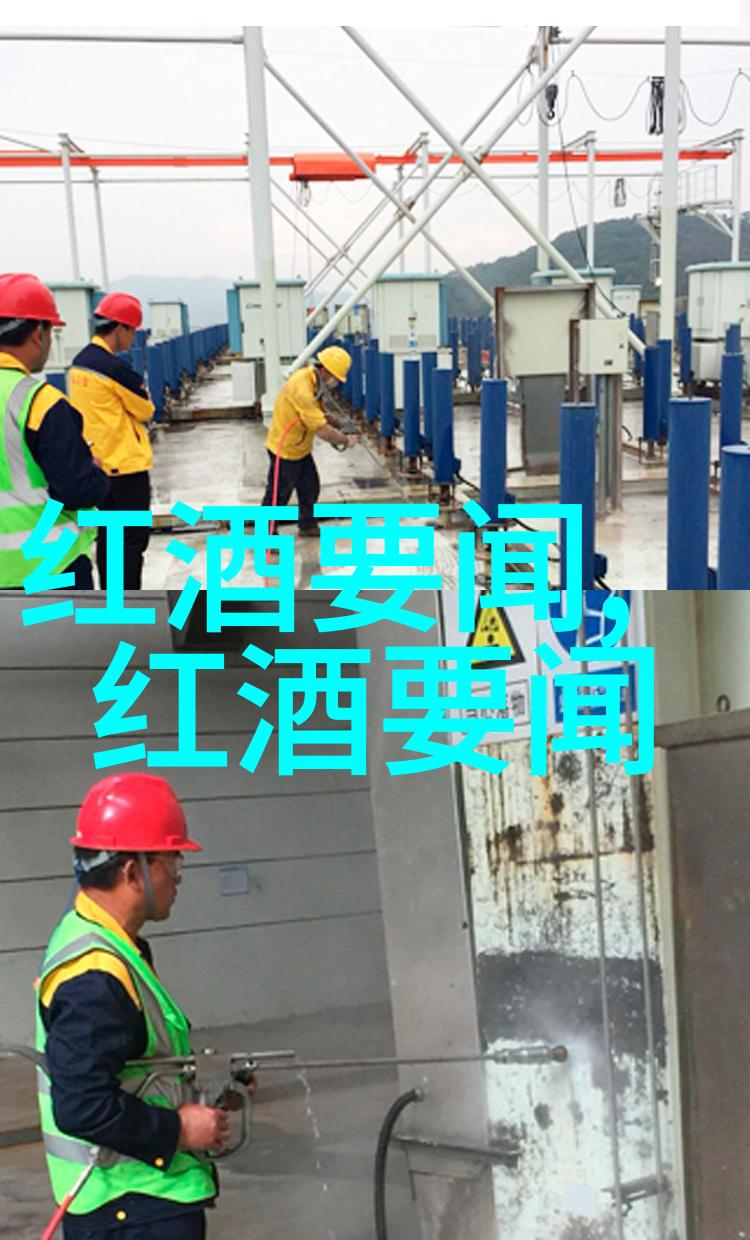 世界葡萄产区主要分布在探索地中海至南美洲的葡萄酒之路