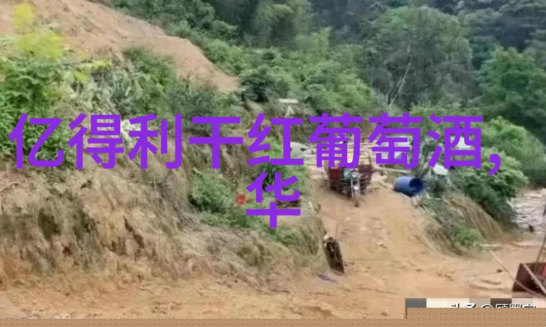 红酒资讯网我发现了这瓶美人鱼的秘密它的醇香是如何在夜晚悄然绽放的