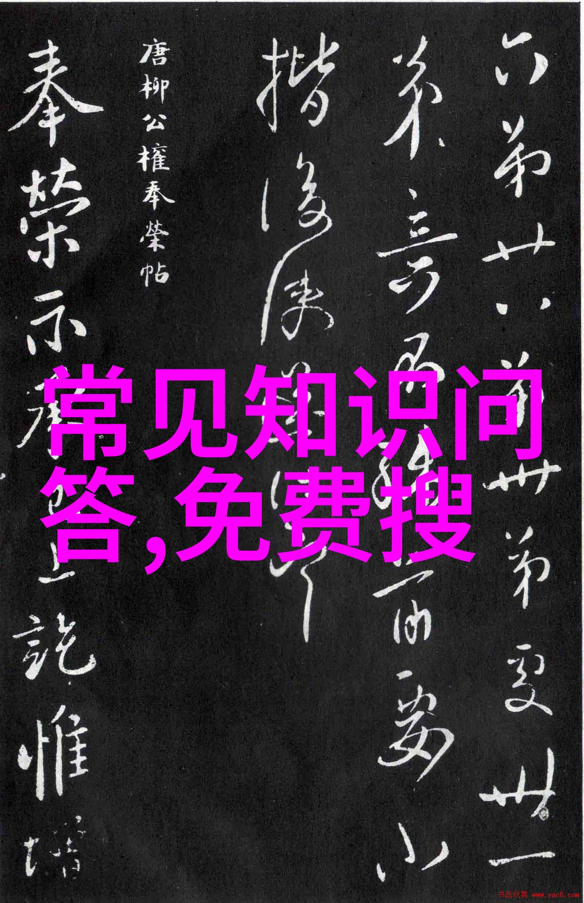 武则天一生中的政治智慧与文学成就