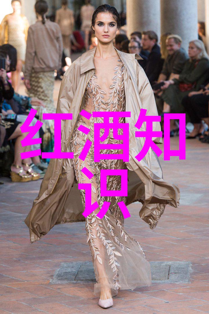人物解释 - 揭秘名词解释如何准确把握人物性格