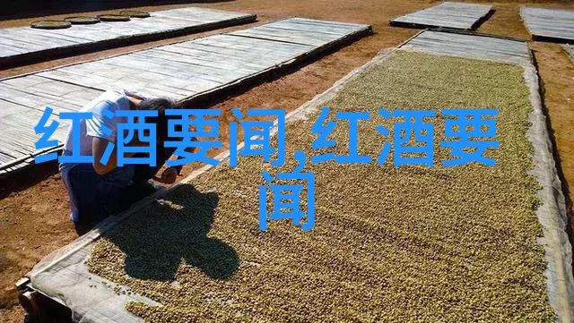 中国十大庄园藏品之旅探秘怡园酒庄的葡萄酒精华