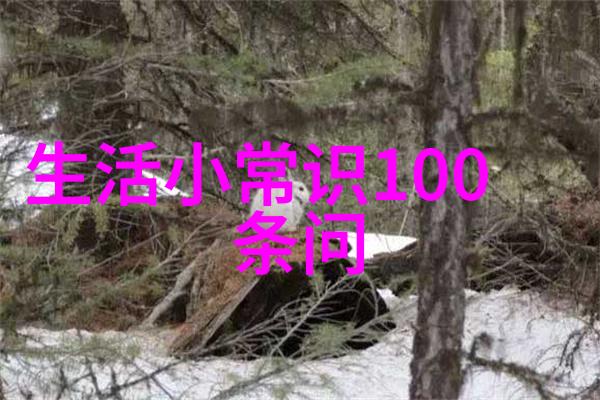 鹊桥仙七夕古典诗词中的爱情传说与文化内涵