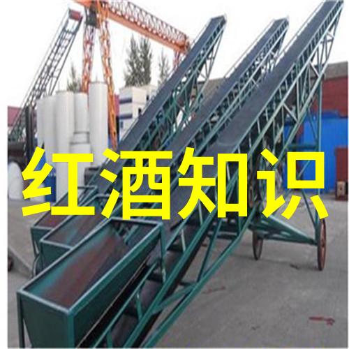 金黄碧绿玉米的千姿百态