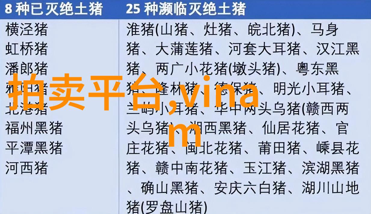 穿越时空的宅男一位动漫爱好者的不切实际冒险