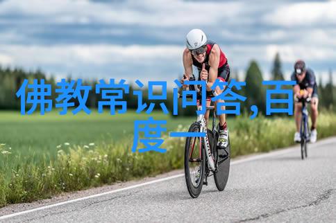 花开富贵探秘玫瑰的无限魅力与多样品种
