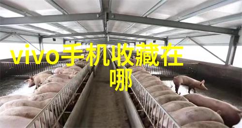 莫宁顿半岛葡萄酒品鉴之旅西班牙各大产区的珍品