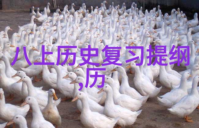 西班牙红酒的多样风情探秘产区之美