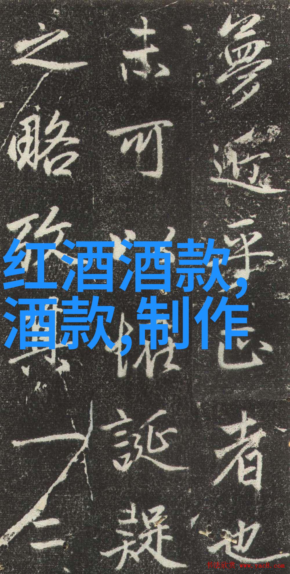 猫的身体结构解析它们的骨骼肌肉和神经系统