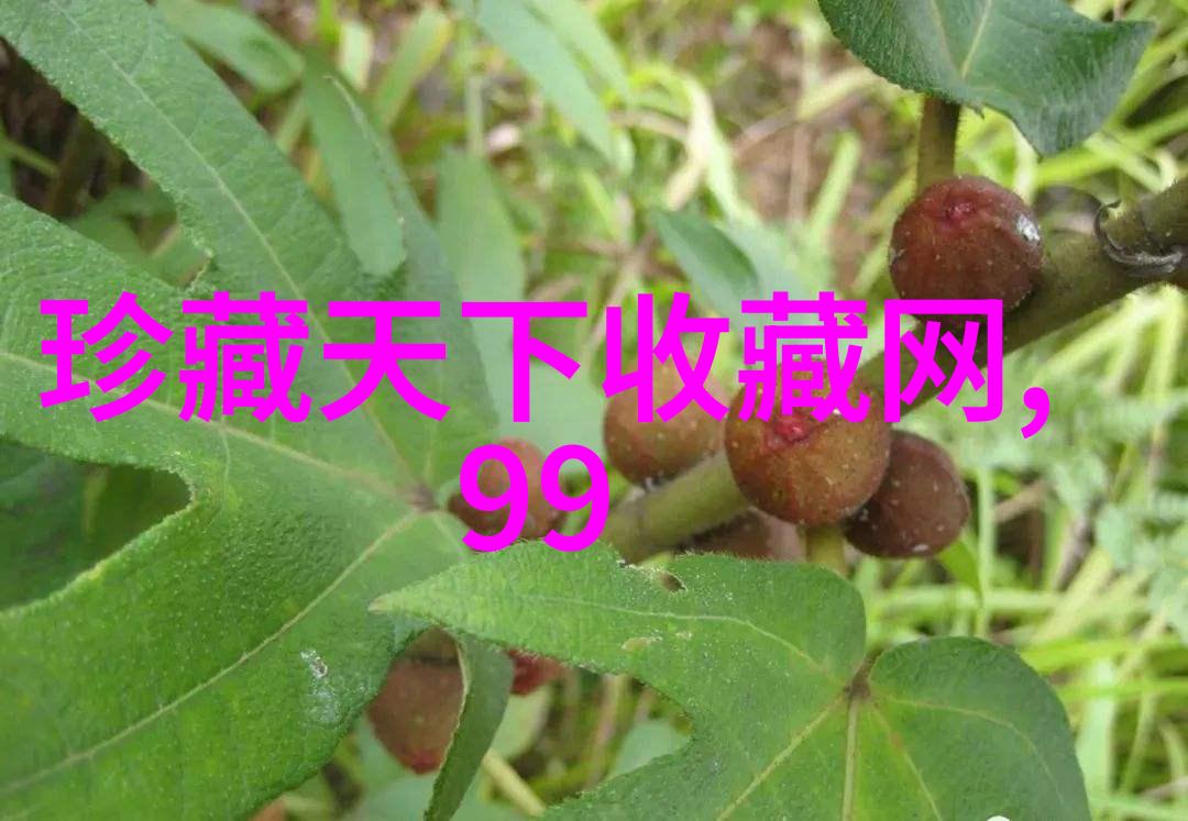 历史价格查询-回溯市场波动如何利用历史价格查询优化投资决策