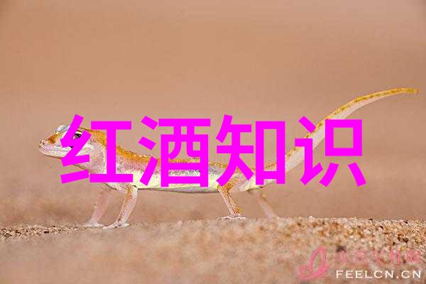 揭秘猫品种大全100个不同寻常的宠物面孔