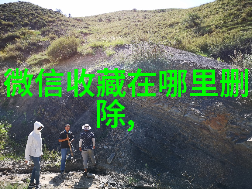 品种繁多的猫咪不同价格的宠物选择