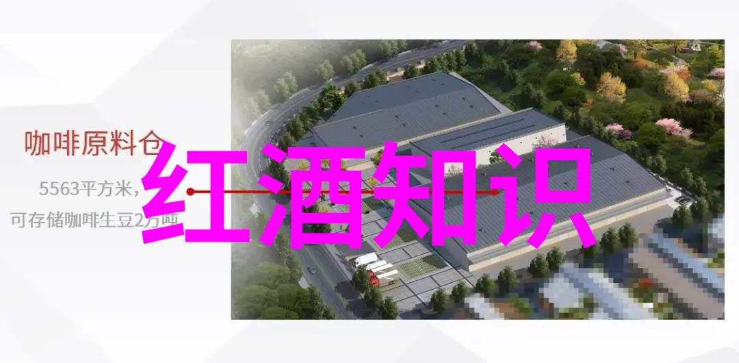 探秘猫的种类大全揭秘全球珍稀与常见猫品种