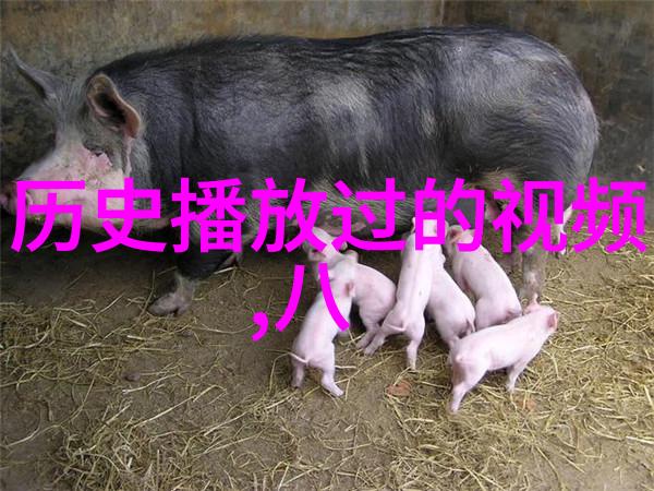 古钱币迷你世界华夏钱币收藏网的登录之旅