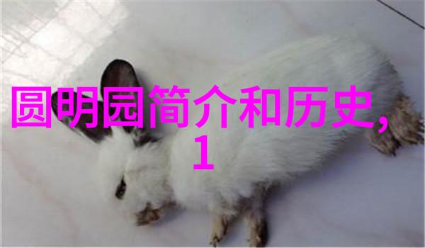 时代的灯塔我们敬仰的楷模精神