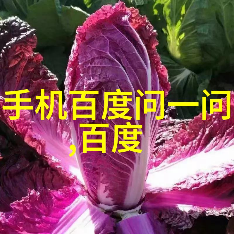 陕西粮食主产区在哪里来看看我给你介绍的吧