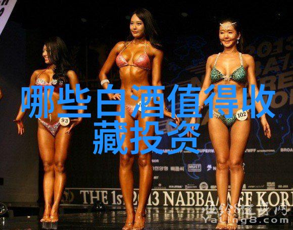 葡萄酒盛宴勃艮第与波尔多的醉人对比