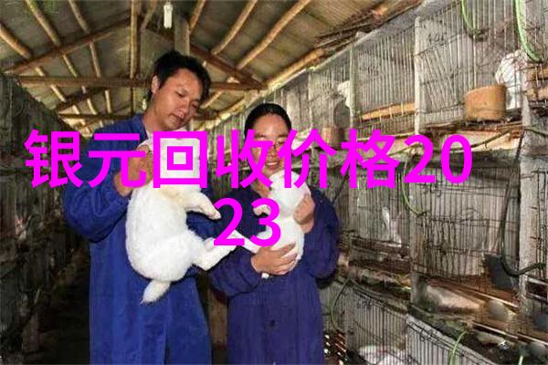 现代英雄谱探索当代英杰的面孔与故事