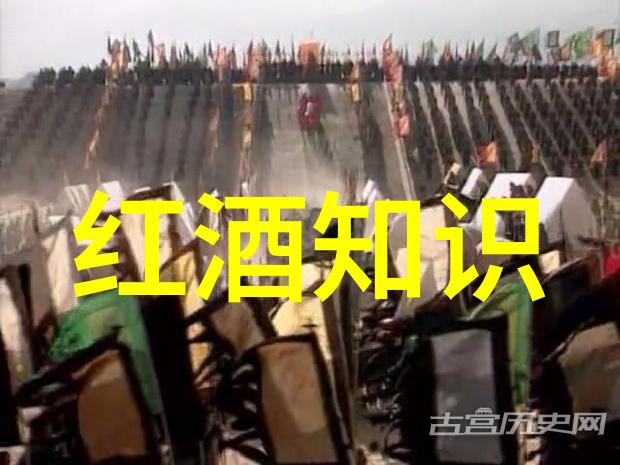 历史的篇章12.9运动的回响与启示