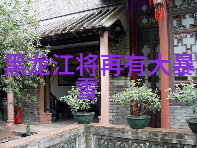 猫的价格表从零到英雄钱包从无到有