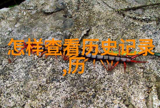 美食搭配指南红酒文化网教你如何与佳肴共舞