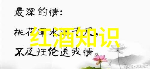 探索中国葡萄酒黄金揭秘最好的产区
