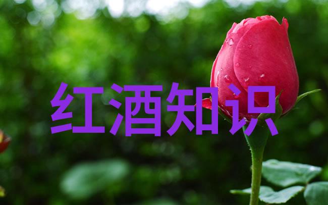 探索周边美丽发现那些隐藏在日常生活之外的旅行宝藏