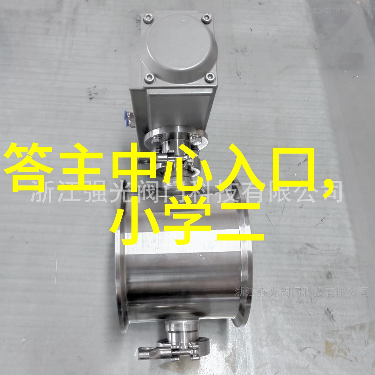 蕴含情感展现个性独特之处在于不同的每一朵和每一种玫瑰花品种名字大全图片