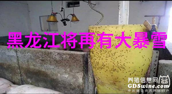 可爱的图片 人物萌宠头像设计