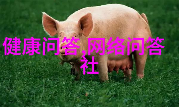 视频收藏管理工具如何快速找到和组织你的视频收藏