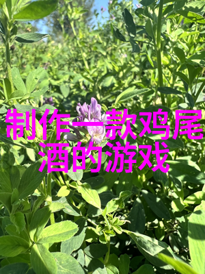探索沪外秘境江南水乡之旅