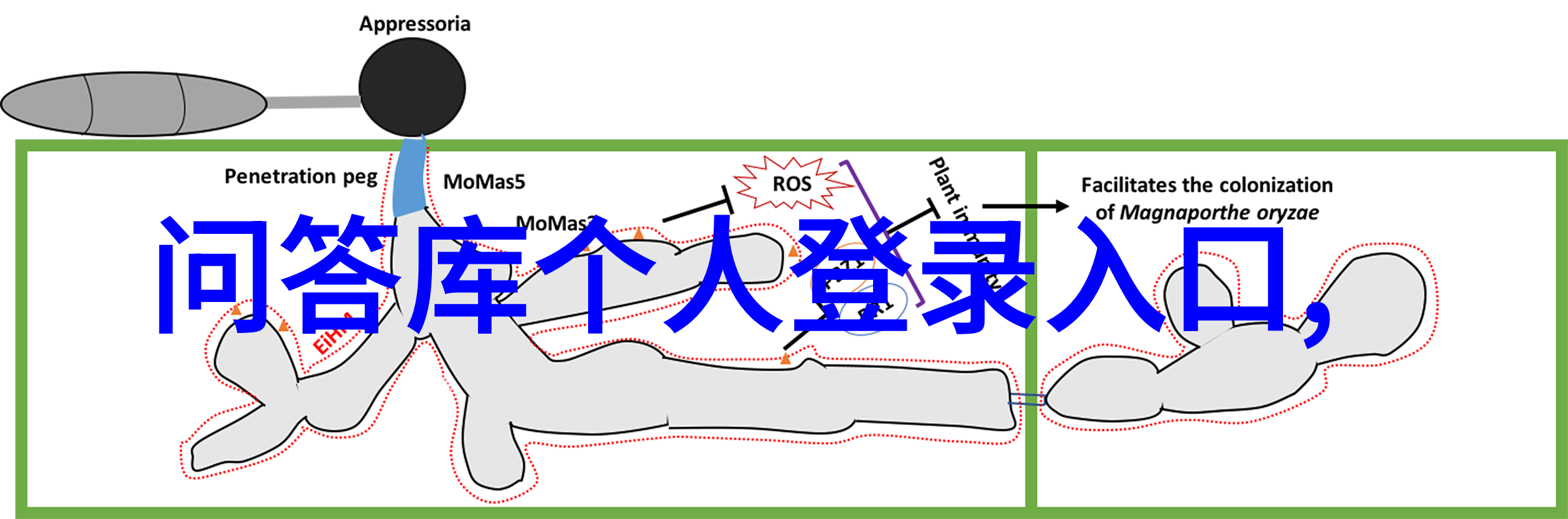 在最后一步怎么进行最终调整使作品更加完美呢