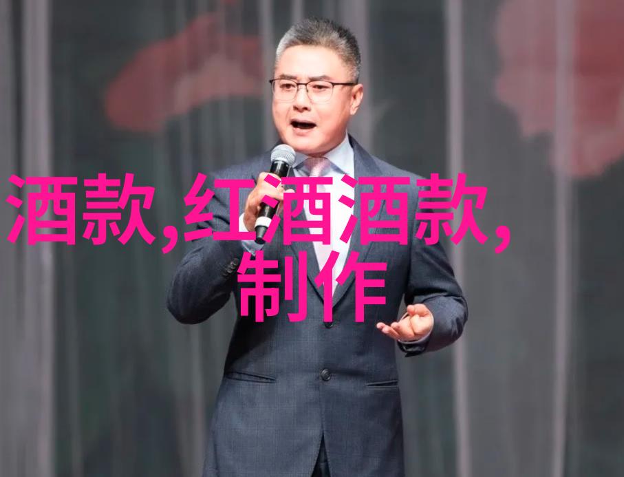 公共政策案例分析深度剖析决策过程与成效评估