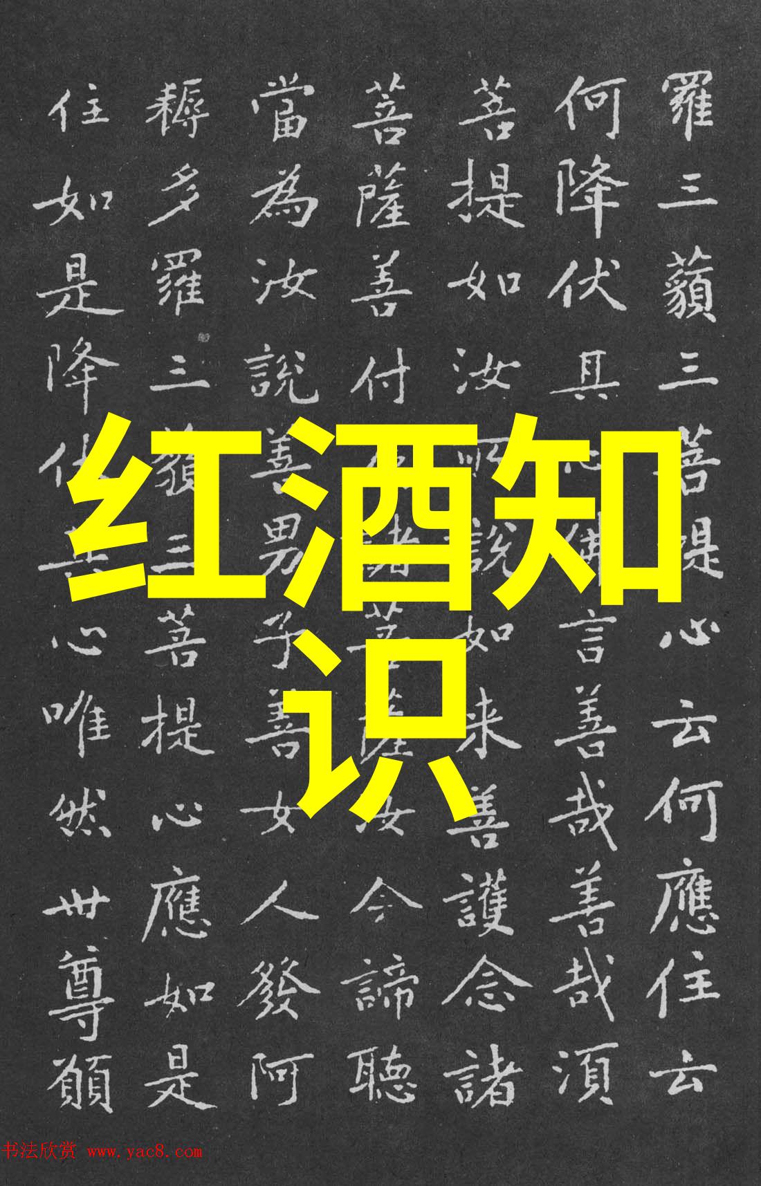 夏日避暑宝地寻找8月最佳旅行目的地